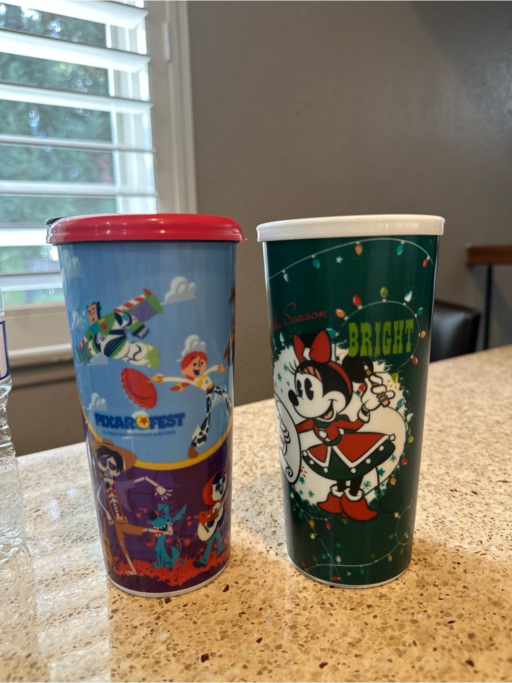 Disney Parks Travel Tumbler Lot (2 Cups, 1 Lid - Fits Both!)